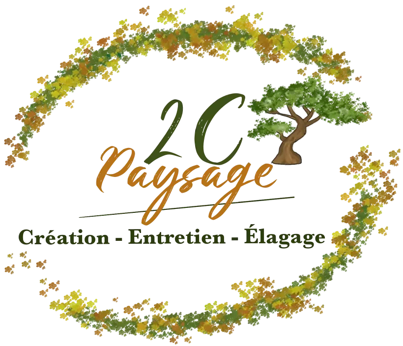 Logo_png-e1726735655665